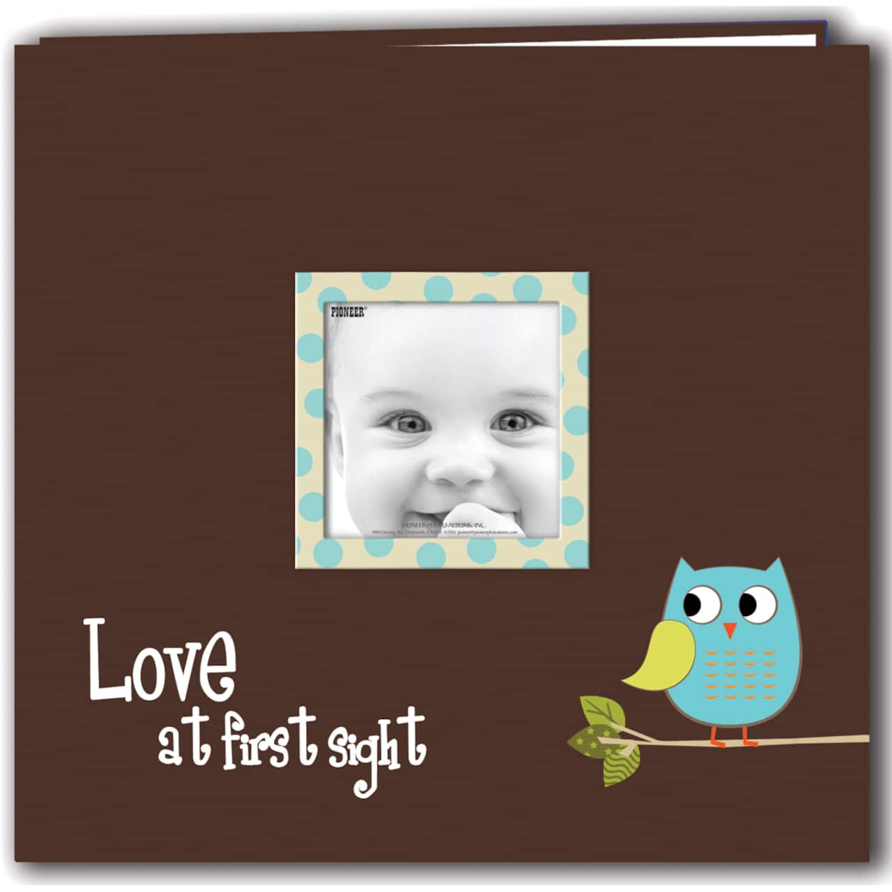 Pioneer® Blue Baby Owl Post Bound Album, 12" x 12"